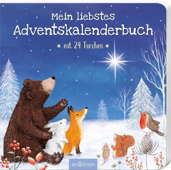 Mein liebstes Adventskalenderbuch (Mängelexemplar)