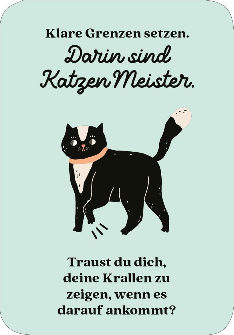 MIEZNachrichten für jede Lebenslage (Mängelexemplar)