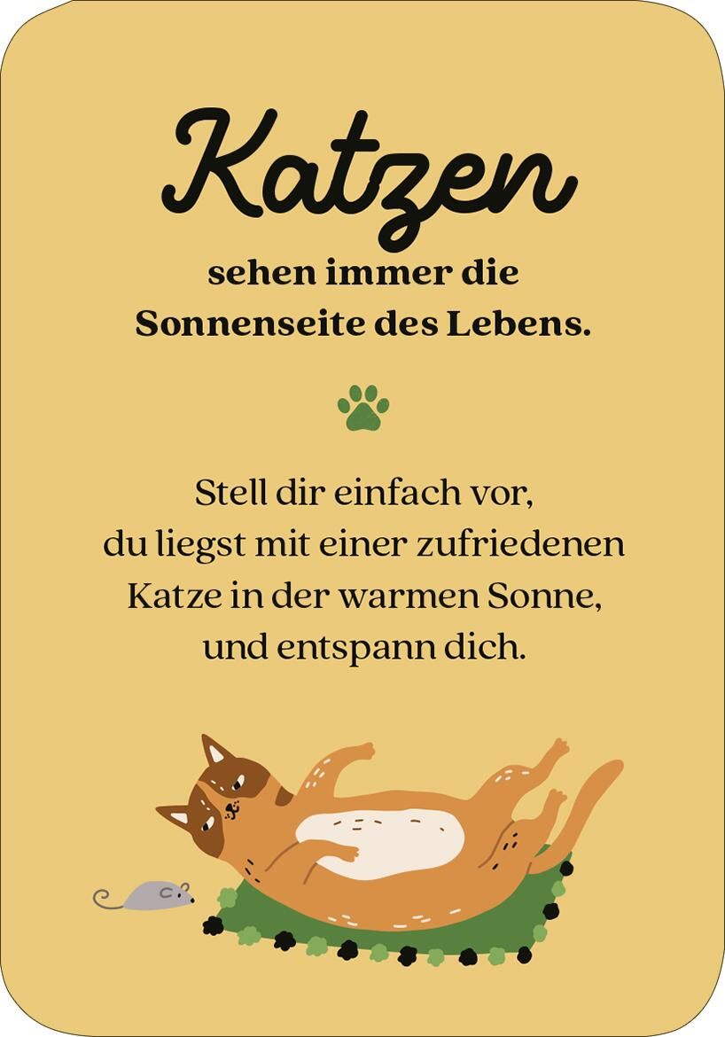MIEZNachrichten für jede Lebenslage (Mängelexemplar)