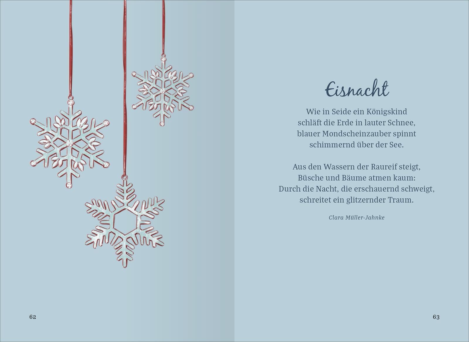 Die schönsten Geschichten aus dem Schnee (Mängelexemplar)