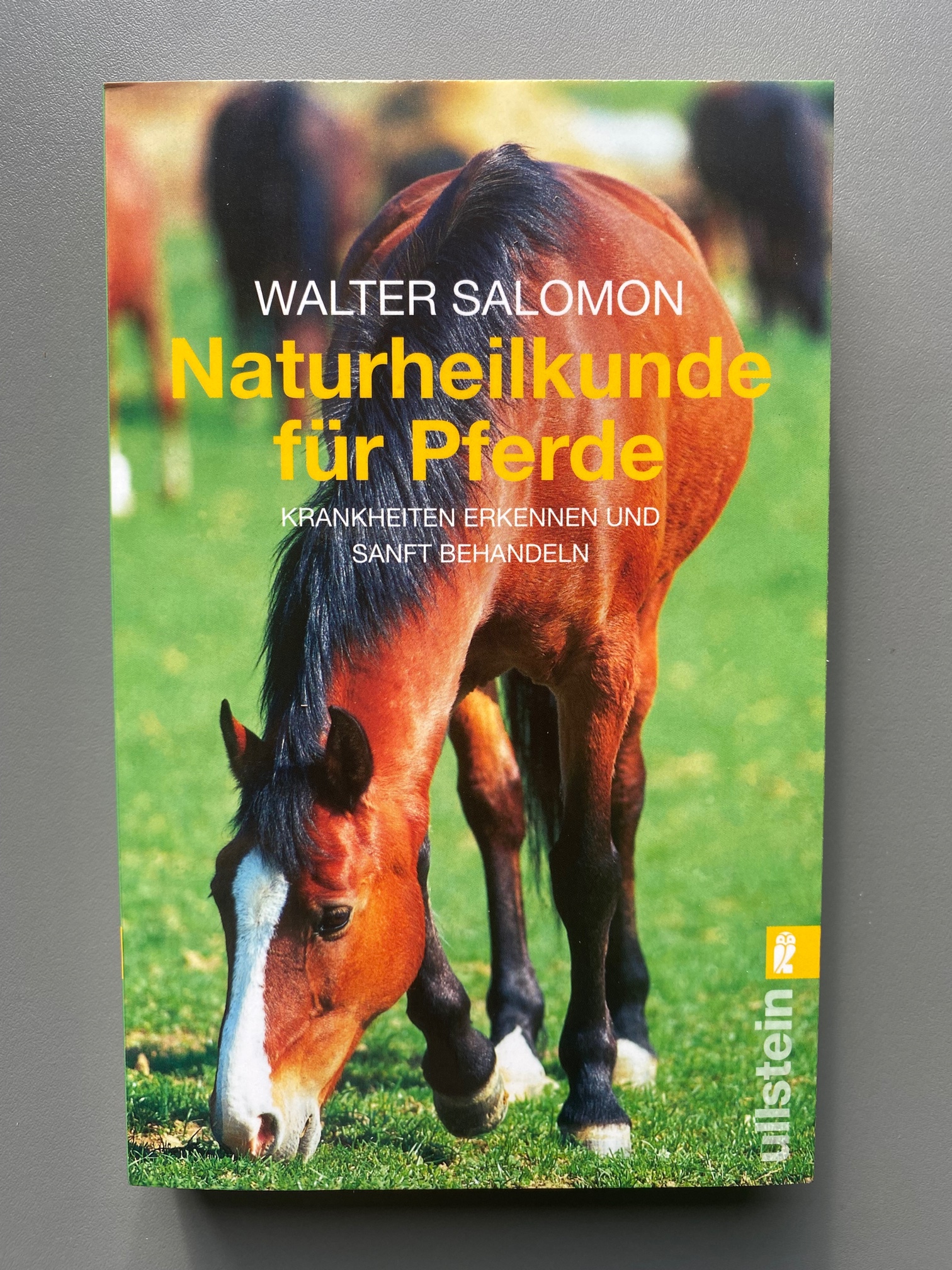 Naturheilkunde für Pferde