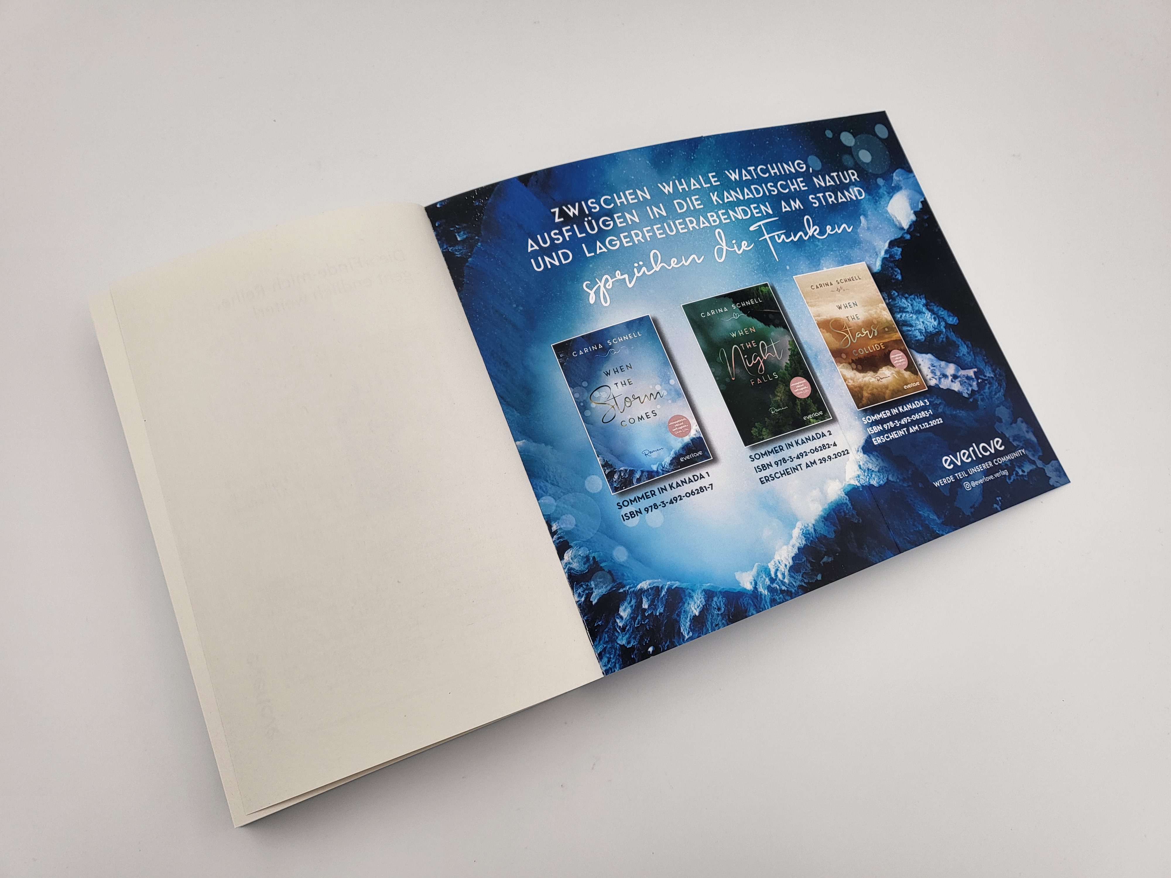 When the Storm Comes (Sommer in Kanada 1): Roman | New-Adult-Liebesroman (Mängelexemplar)
