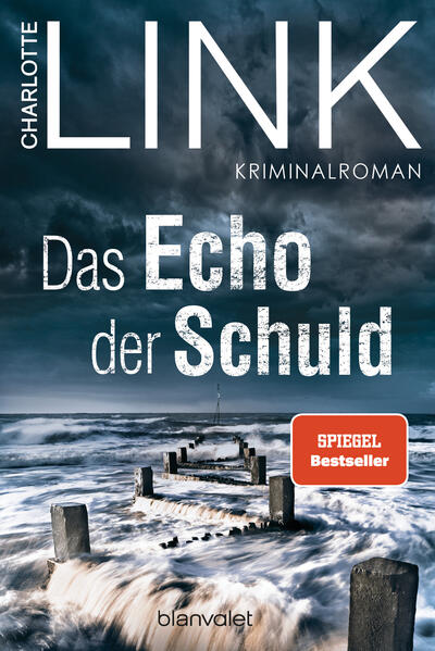 Das Echo der Schuld (Mängelexemplar) Das Echo der Schuld (Mängelexemplar)