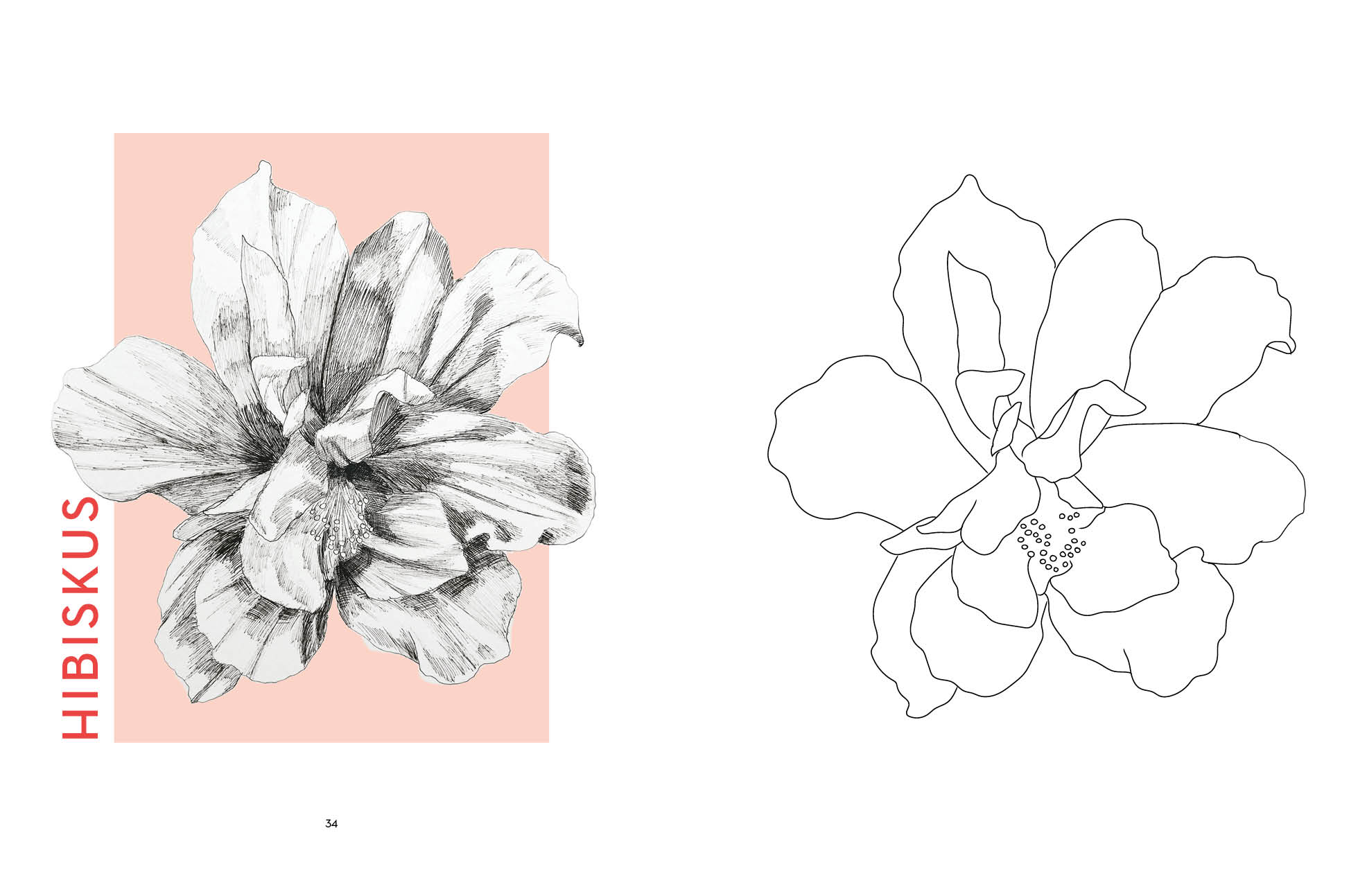 Flowers mit Lana: Ausmalen und entspannen mit Lanaarts23 (Mängelexemplar)