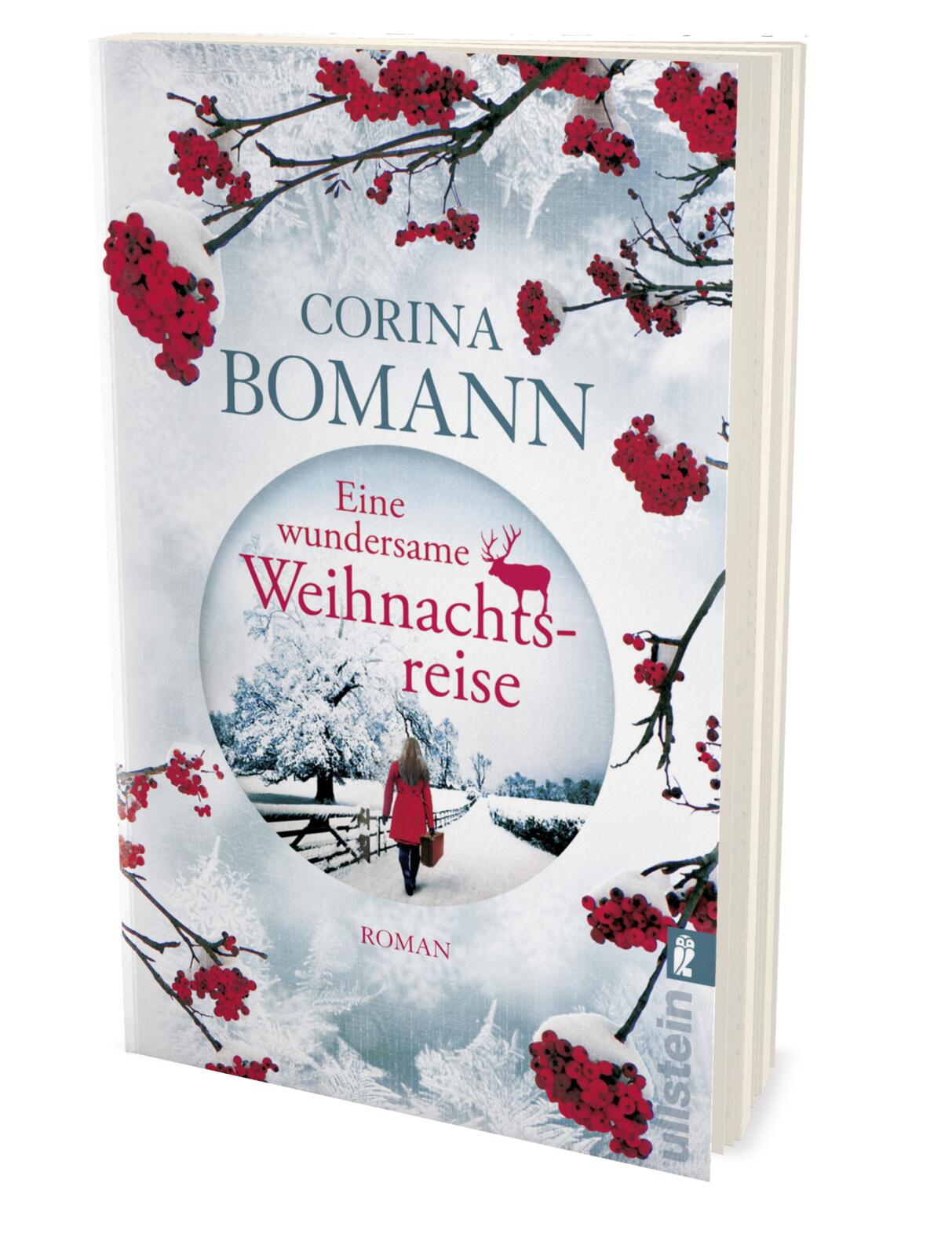 Eine wundersame Weihnachtsreise (Mängelexemplar)