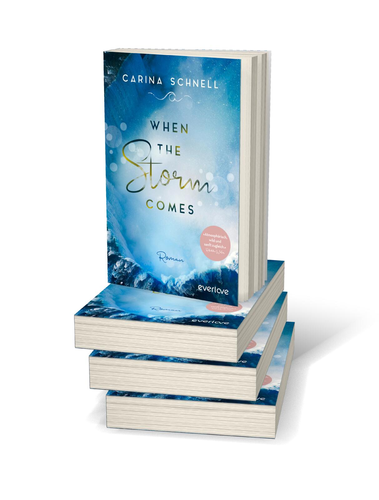 When the Storm Comes (Sommer in Kanada 1): Roman | New-Adult-Liebesroman (Mängelexemplar)