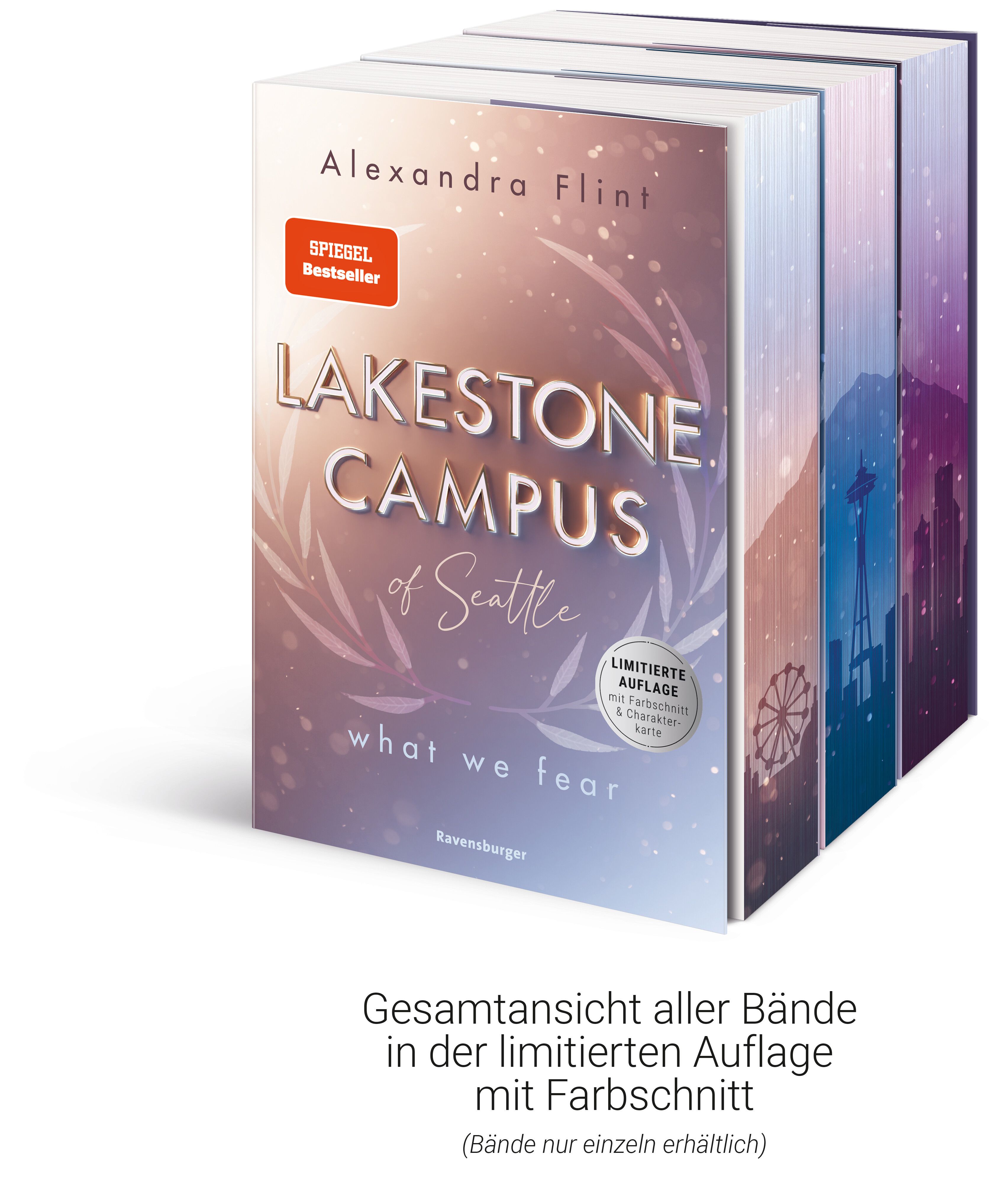 Lakestone Campus of Seattle, Band 3 - What We Hide (Mängelexemplar)