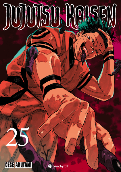 Jujutsu Kaisen – Band 25 (Mängelexemplar)