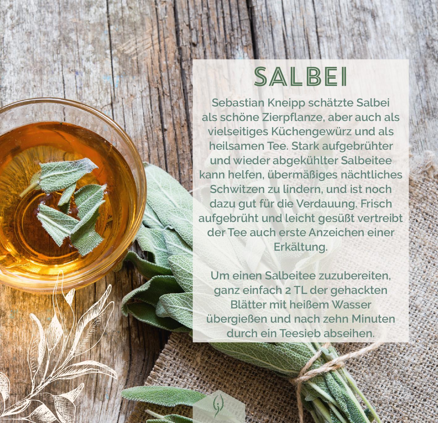 6d8218b4c5a4b199a1101b2f33dc5b3e1709729522