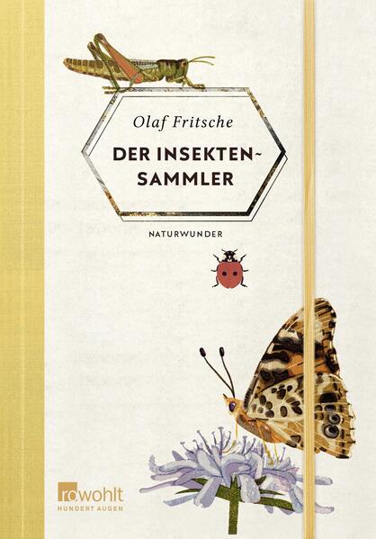 Der Insektensammler (Mängelexemplar)