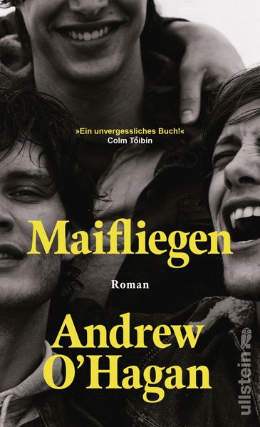 Maifliegen (Mängelexemplar)