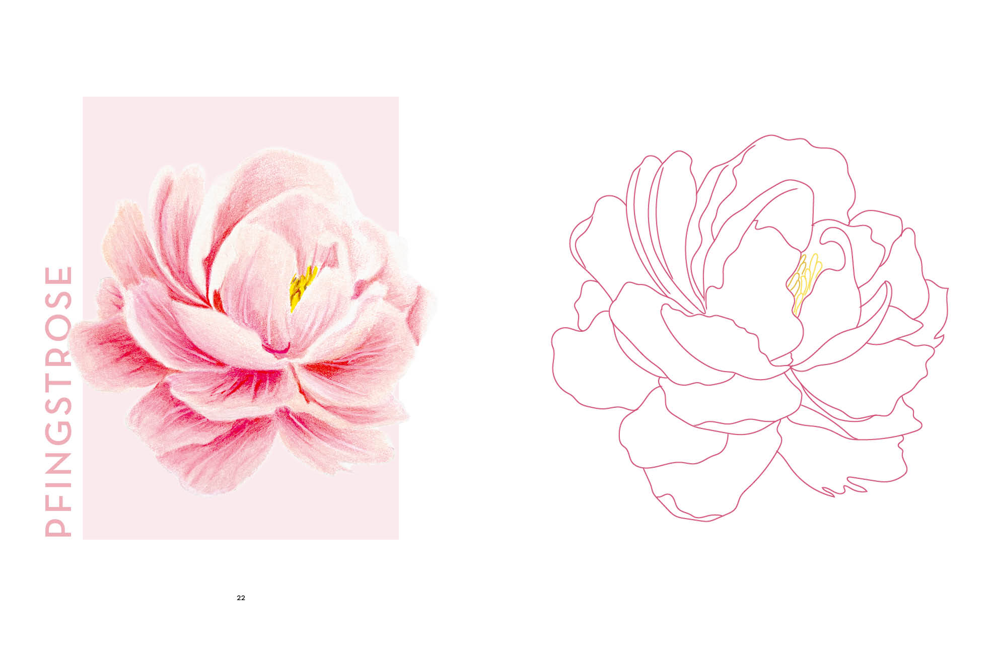 Flowers mit Lana: Ausmalen und entspannen mit Lanaarts23 (Mängelexemplar)