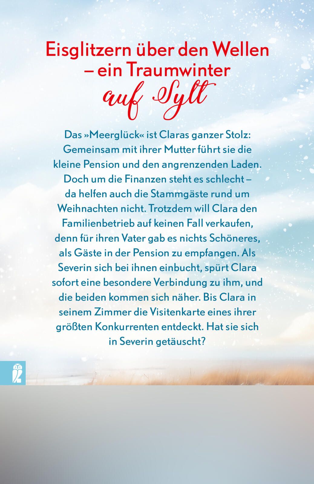 Winterträume in der kleinen Pension am Meer (Mängelexemplar)