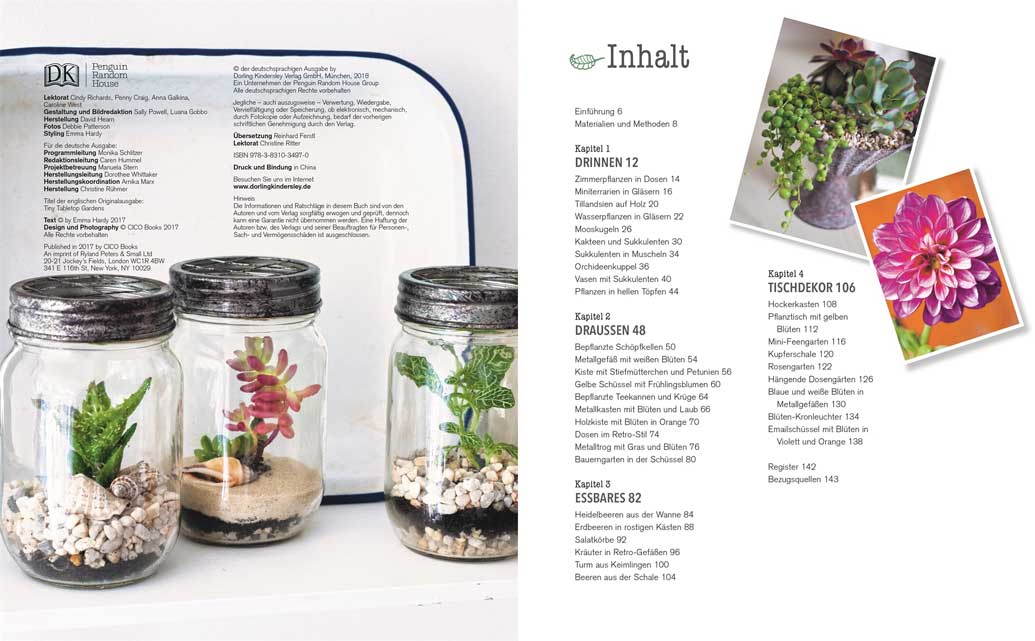 Kreativ mit Pflanzen - Deko-Ideen für drinnen und draußen