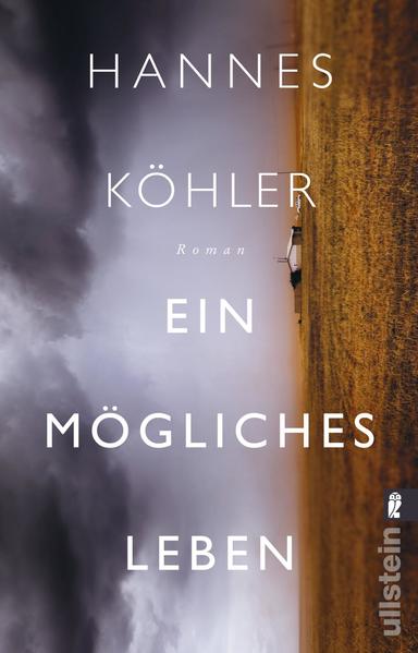 Ein mögliches Leben - Roman