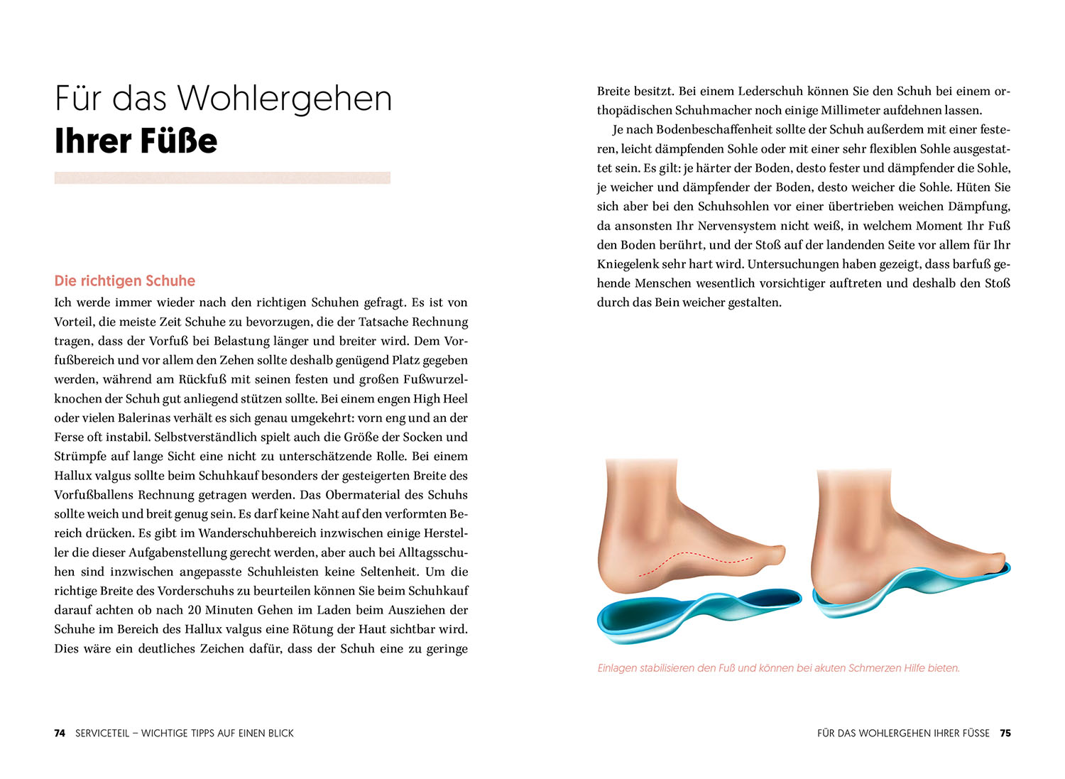 Hallux Valgus - Nachhaltige Hilfe ohne OP (Mängelexemplar)