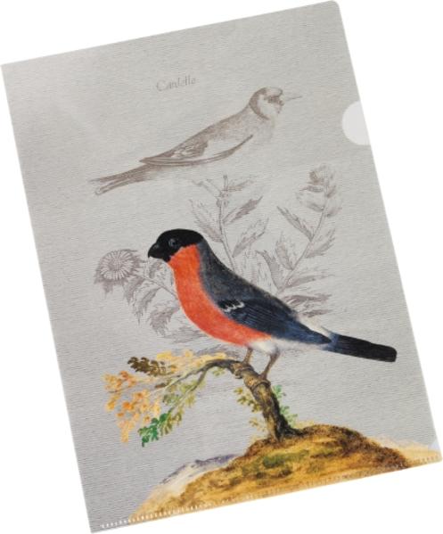 Pasta für Nachtigallen Bunte Sichthülle - Motiv Gimpel - Set mit 3 Sichthüllen