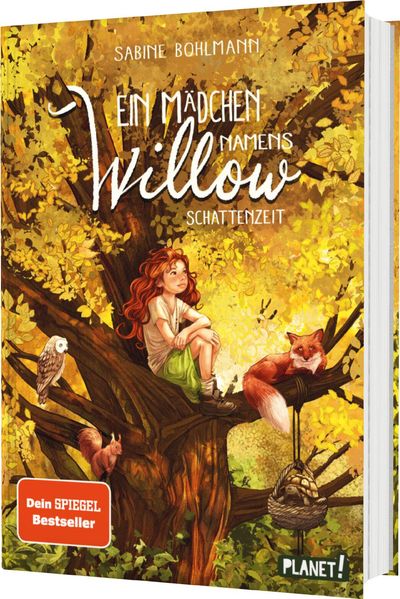 Ein Mädchen namens Willow 5: Schattenzeit (Mängelexemplar)