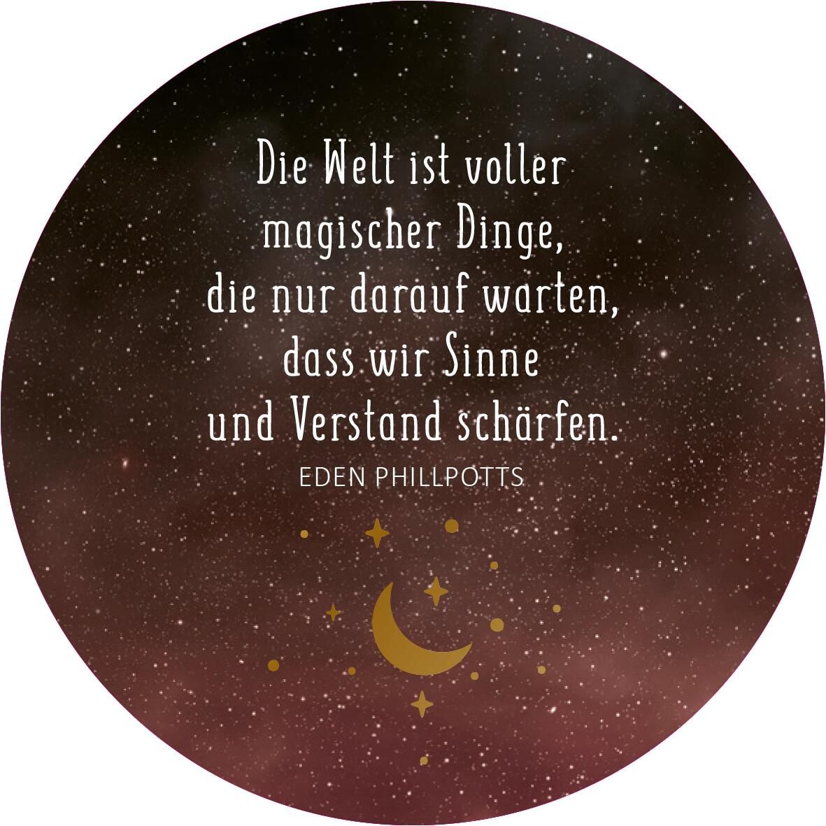 Adventskalender in der Dose. Magische Momente (Mängelexemplar)