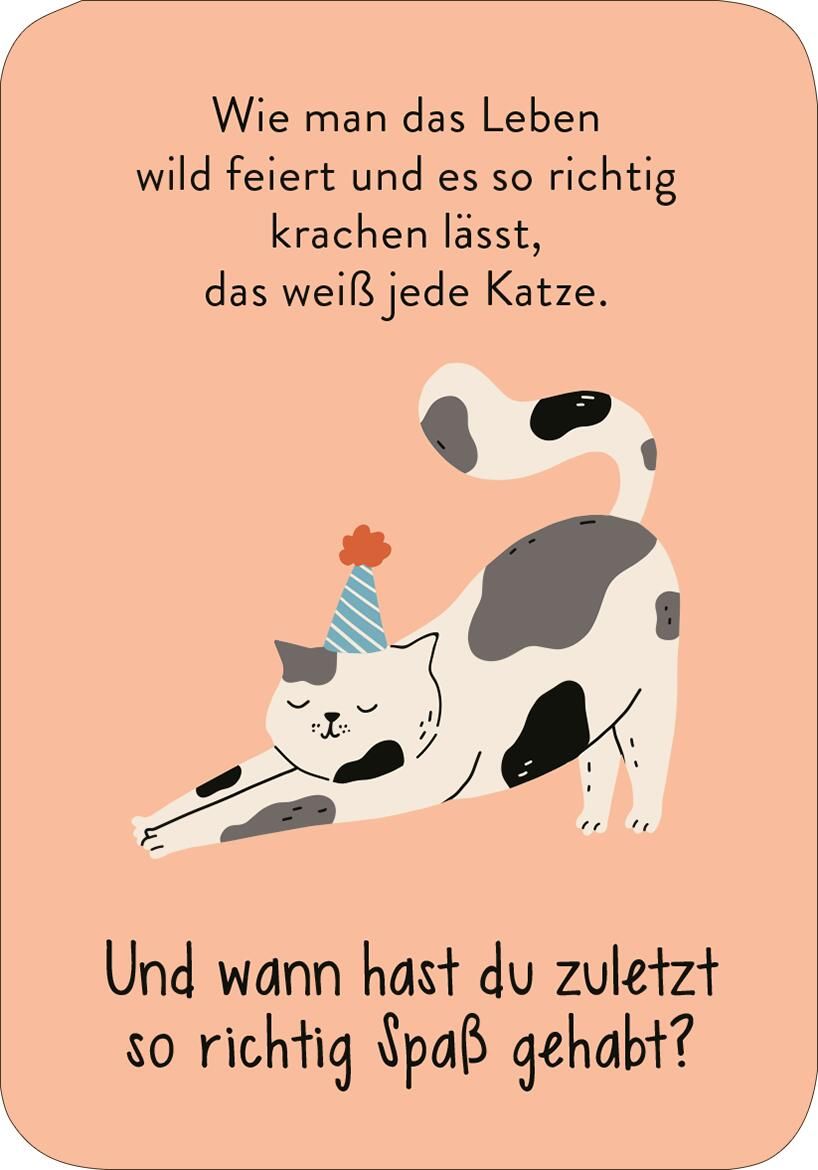 MIEZNachrichten für jede Lebenslage (Mängelexemplar)