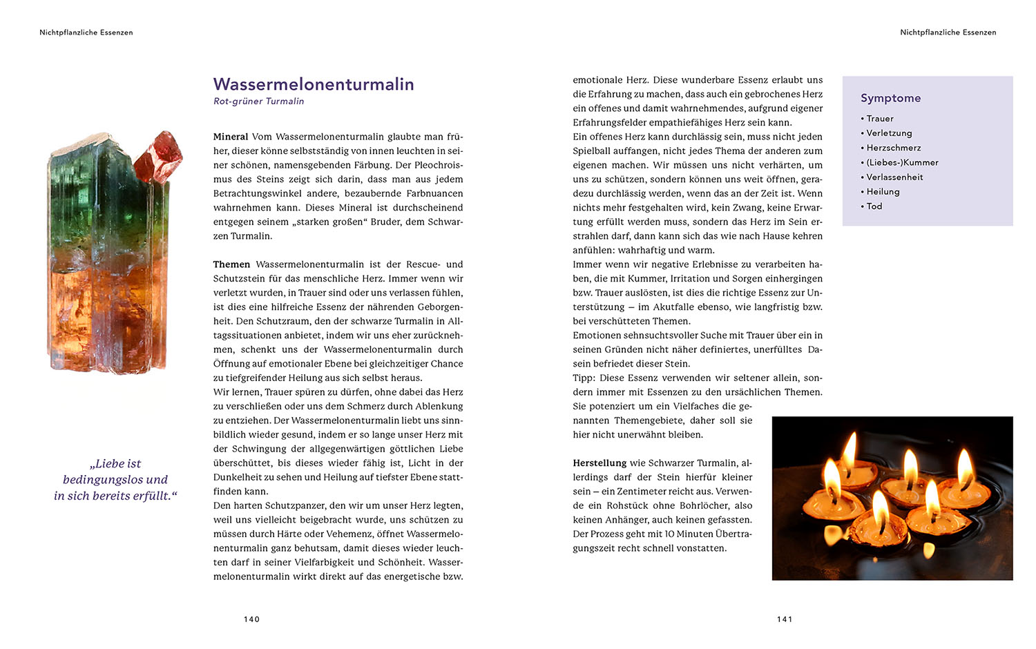 Heilsame Essenzen für die Seele (Mängelexemplar)