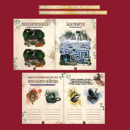 Das inoffizielle Rätselbuch für Potter-Fans. Über 100 Quizfragen, Bilderrätsel, Labyrinthe und mehr zu den bekannten Büchern und Filmen (Mängelexemplar)