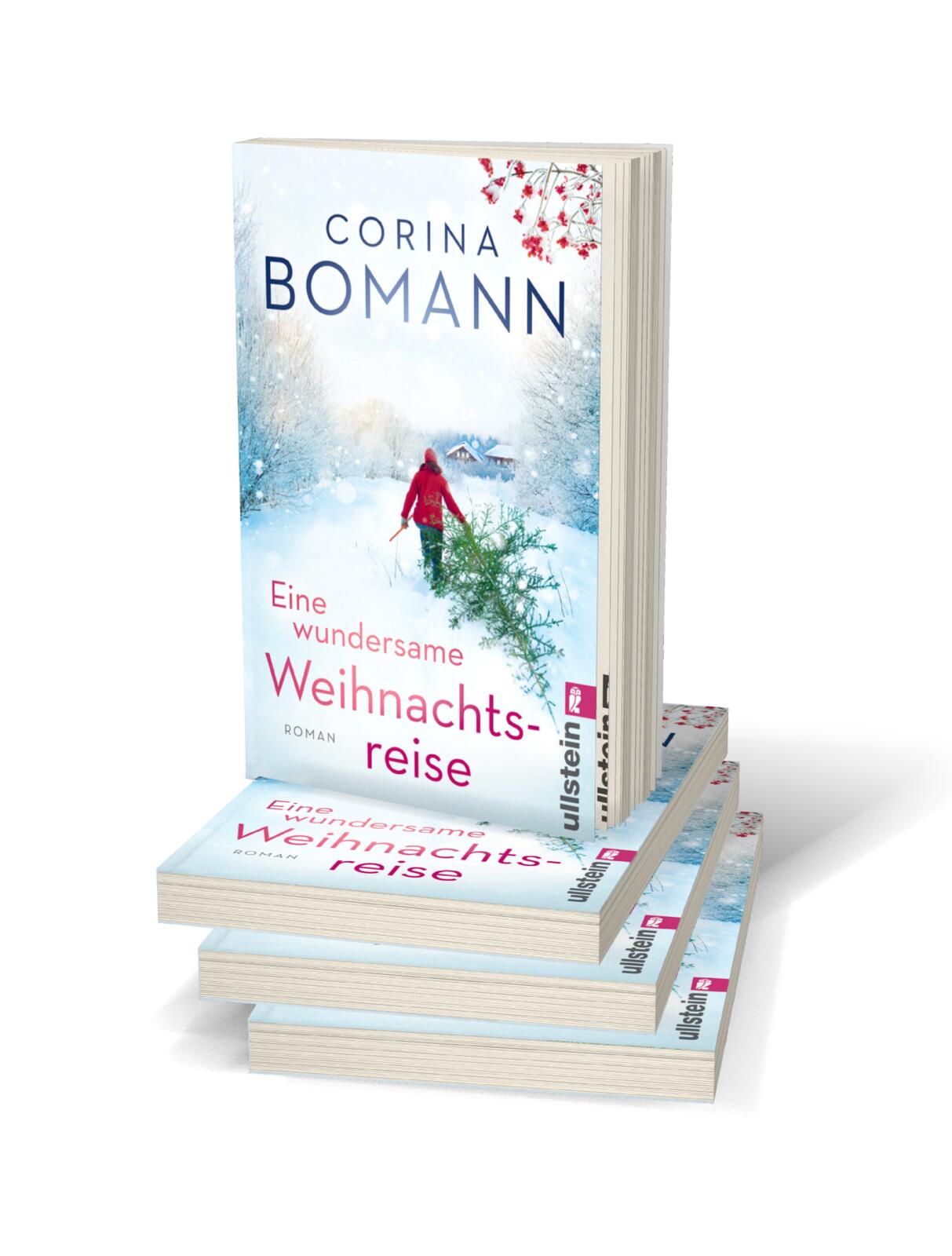 Eine wundersame Weihnachtsreise - Der liebenswerte Weihnachtsroman (Mängelexemplar)