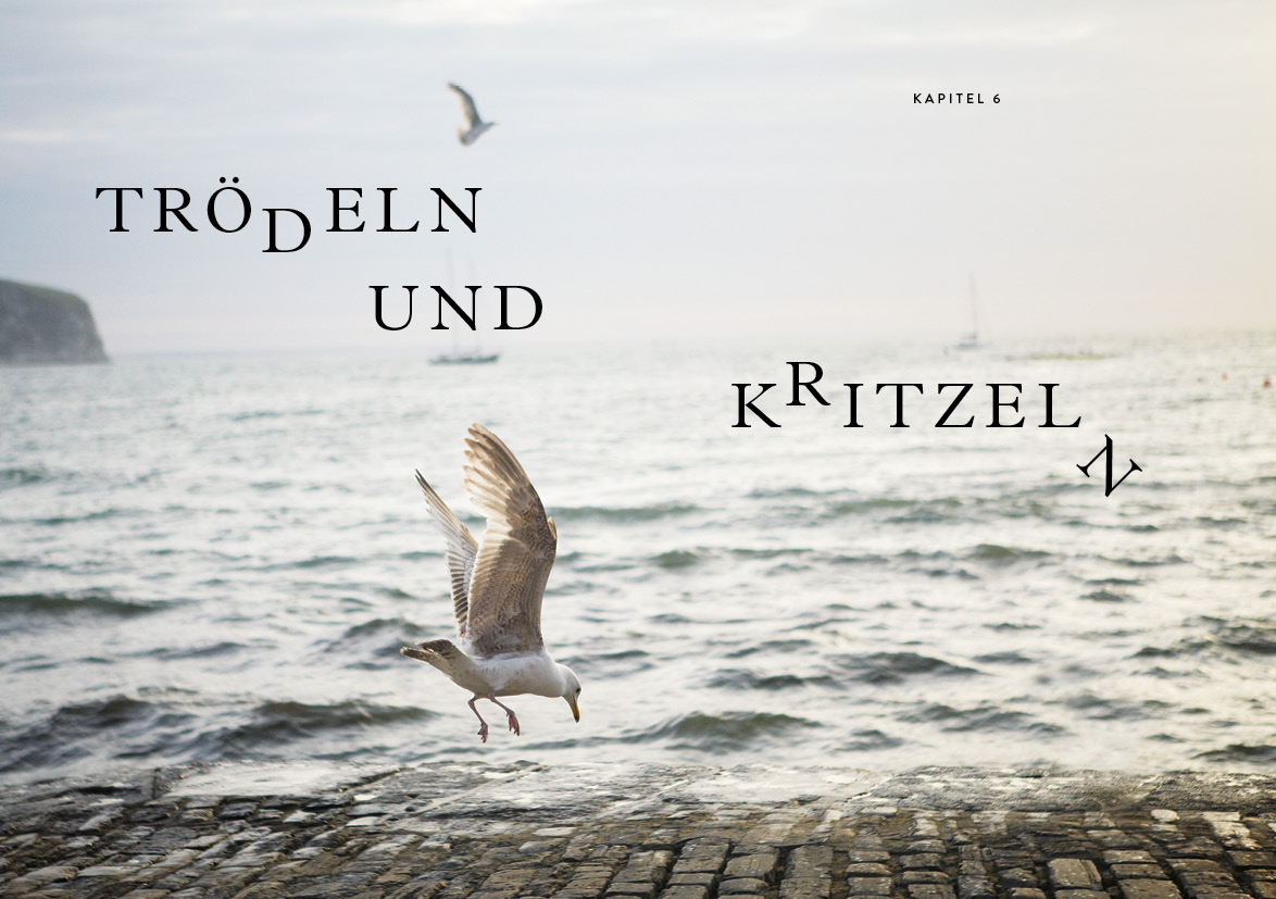 Walking in the Rain - Schritt für Schritt zu einem klaren Kopf (Mängelexemplar)