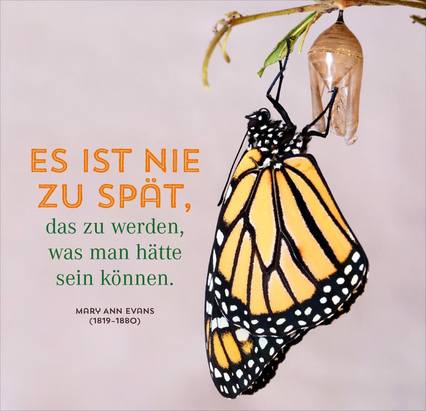 Nimm dir Zeit für große Träume (Mängelexemplar)