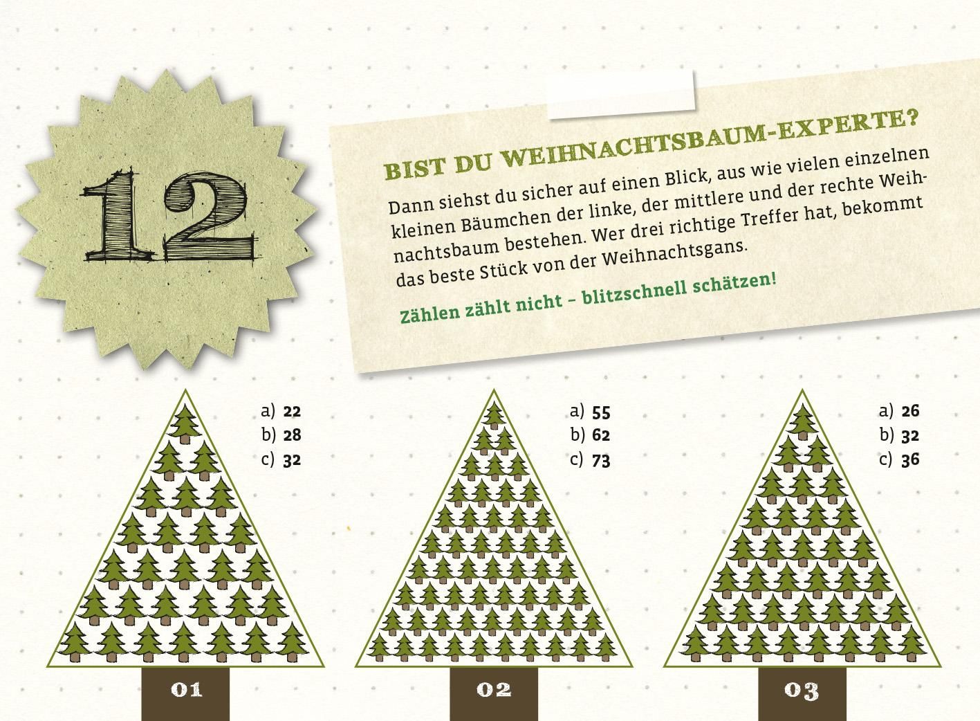 Der ultimativ knifflige Advents-Rätsel-Kalender (Mängelexemplar)