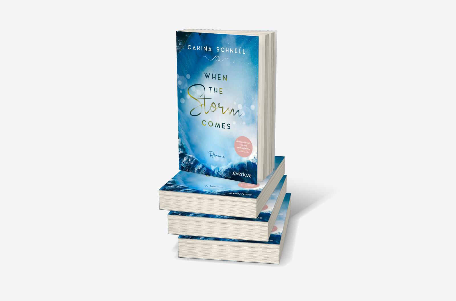 When the Storm Comes (Sommer in Kanada 1): Roman | New-Adult-Liebesroman (Mängelexemplar)
