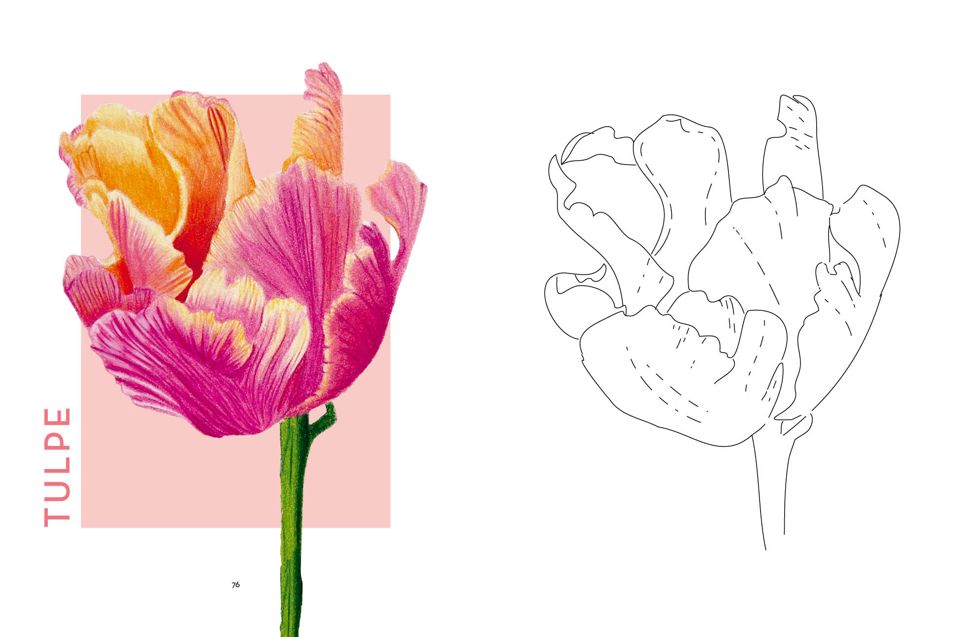 Flowers mit Lana: Ausmalen und entspannen mit Lanaarts23 (Mängelexemplar)