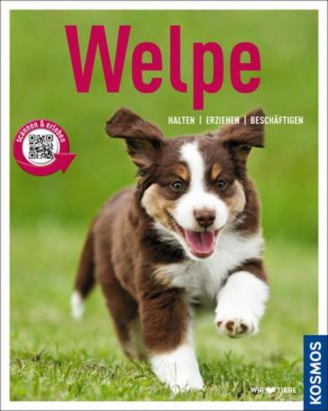Welpe - Halten, erziehen, beschäftigen