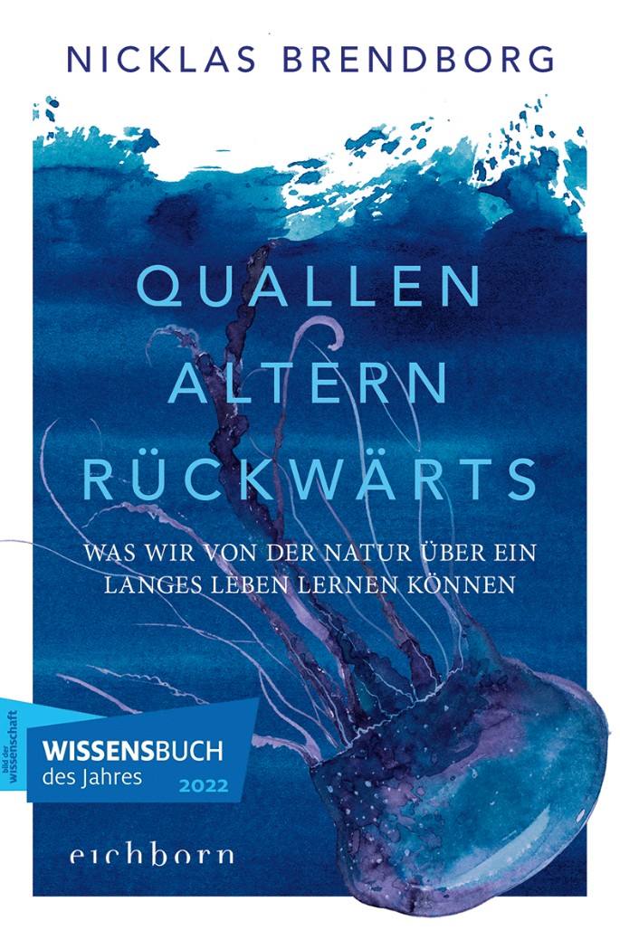 Quallen altern rückwärts (Mängelexemplar)