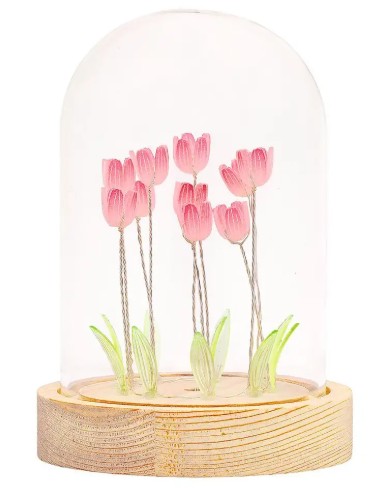 X_Lichterkuppel Tulpenfeld