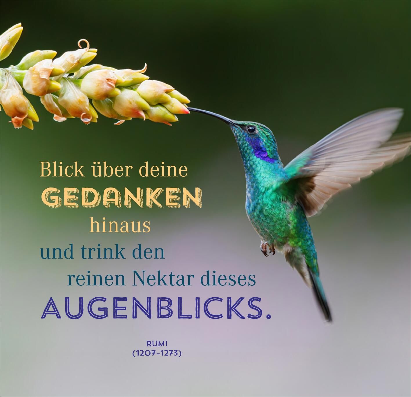 Nimm dir Zeit für Achtsamkeit (Mängelexemplar)