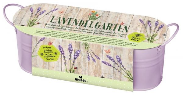 Blatt &amp; Blüte Lavendelgarten in Zinkwanne