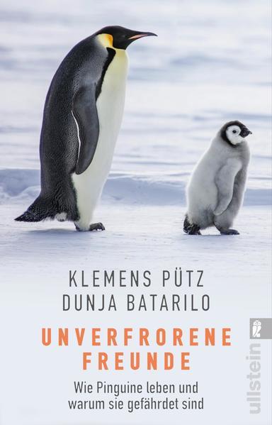 Unverfrorene Freunde - Wie Pinguine leben und warum sie gefährdet sind
