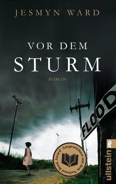 Vor dem Sturm - Roman