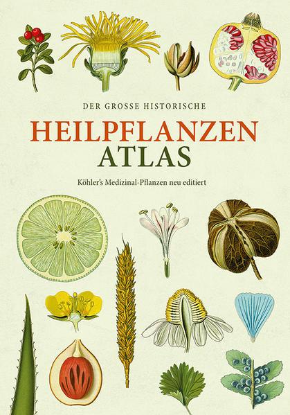 Der große Heilpflanzen-Atlas-Köhlers Medizinal-Pflanzen - neu editiert (Mängelexemplar)