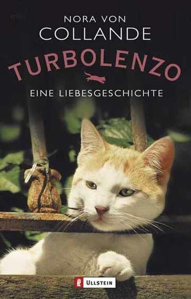 Turbolenzo - Eine Liebesgeschichte